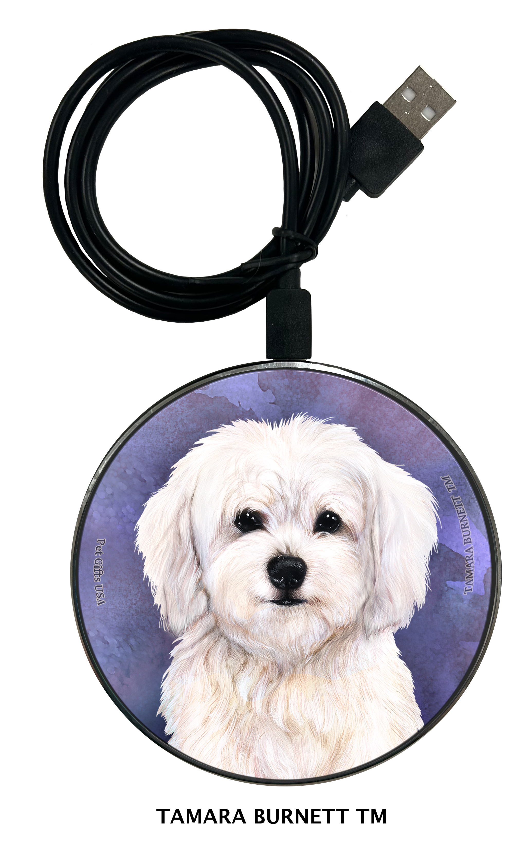 Cavachon White - Zoomies Phone Charger image